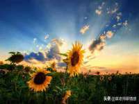 苏州裕颂贸易有限公司