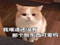 苏州裕颂贸易有限公司