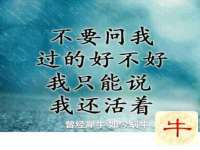 苏州裕颂贸易有限公司