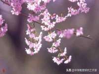 苏州裕颂贸易有限公司