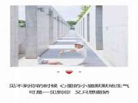 苏州裕颂贸易有限公司