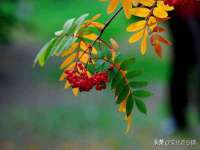 苏州裕颂贸易有限公司