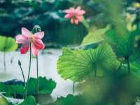苏州裕颂贸易有限公司