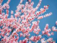 苏州裕颂贸易有限公司