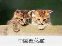 苏州裕颂贸易有限公司