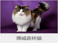 苏州裕颂贸易有限公司