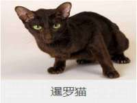 苏州裕颂贸易有限公司