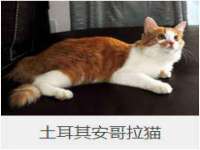 苏州裕颂贸易有限公司