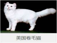 苏州裕颂贸易有限公司