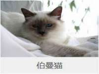 苏州裕颂贸易有限公司