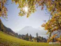 苏州裕颂贸易有限公司