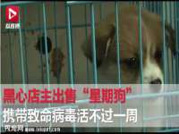 苏州裕颂贸易有限公司