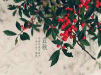 苏州裕颂贸易有限公司