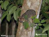 苏州裕颂贸易有限公司