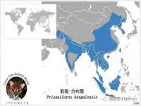 苏州裕颂贸易有限公司