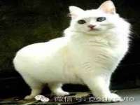 苏州裕颂贸易有限公司
