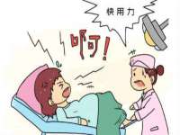 苏州裕颂贸易有限公司