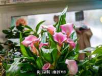 苏州裕颂贸易有限公司