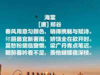 苏州裕颂贸易有限公司