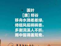 苏州裕颂贸易有限公司