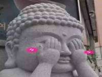 苏州裕颂贸易有限公司