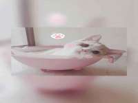 苏州裕颂贸易有限公司