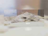 苏州裕颂贸易有限公司
