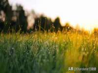 苏州裕颂贸易有限公司
