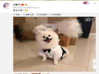 苏州裕颂贸易有限公司