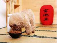 苏州裕颂贸易有限公司