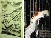 苏州裕颂贸易有限公司