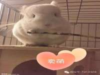 苏州裕颂贸易有限公司