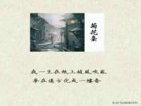 苏州裕颂贸易有限公司
