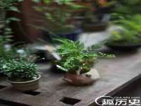 苏州裕颂贸易有限公司