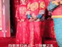 苏州裕颂贸易有限公司