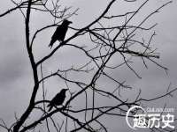 苏州裕颂贸易有限公司