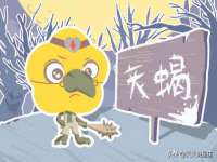 苏州裕颂贸易有限公司