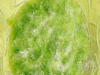 苏州裕颂贸易有限公司