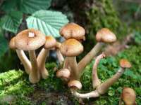 苏州裕颂贸易有限公司