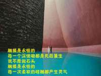 苏州裕颂贸易有限公司