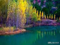 苏州裕颂贸易有限公司