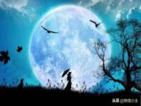 苏州裕颂贸易有限公司