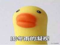 苏州裕颂贸易有限公司