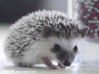 苏州裕颂贸易有限公司