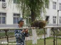 苏州裕颂贸易有限公司