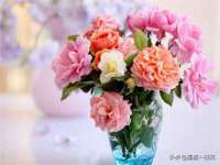 苏州裕颂贸易有限公司