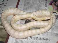 苏州裕颂贸易有限公司