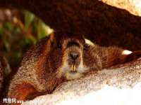 苏州裕颂贸易有限公司
