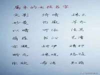 苏州裕颂贸易有限公司